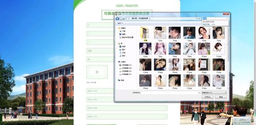 基于Django与Vue的校园志愿者服务管理系统设计与实现